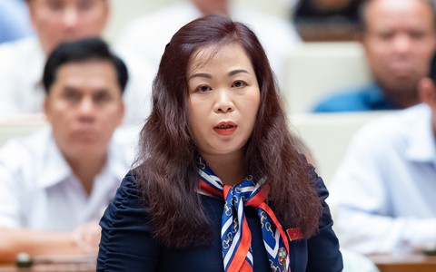 Nữ đại biểu chất vấn việc chi hàng trăm tỉ đồng cho các hội thảo, tập huấn