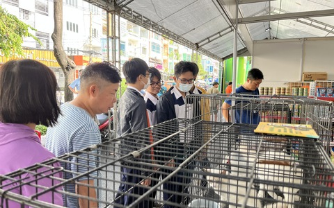 TP HCM: Khám chữa bệnh miễn phí cho thú cưng, trưng bày chim săn mồi tại Tuần lễ sinh vật cảnh 2023