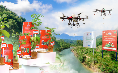 OMO đạt mốc mục tiêu trồng 1 triệu cây xanh, lan tỏa tinh thần sống xanh đến hàng triệu người Việt