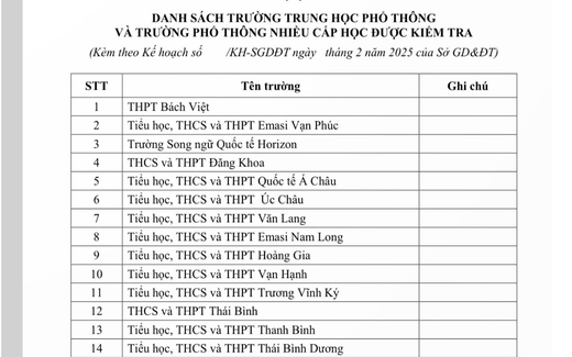 Sở GD-ĐT TP HCM bắt đầu kiểm tra 27 trường phổ thông từ đầu tháng 3