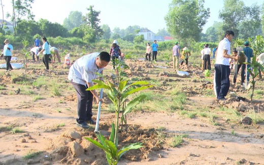 Phủ xanh đô thị