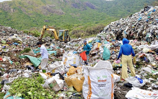 Côn Đảo nỗ lực "xanh hóa" du lịch