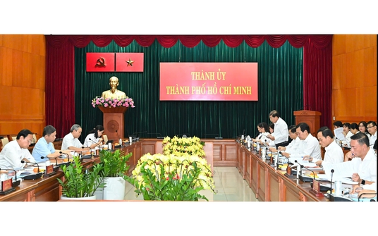 TPHCM đưa các dự án gây lãng phí lớn vào diện Ban Chỉ đạo theo dõi, xử lý