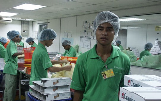 Xuất khẩu kèo nhà cái tỷ lệ cá cược “chui”, rủi ro cao