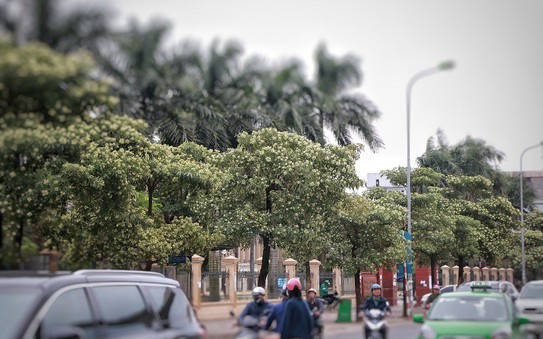 Chịu không nổi mùi tỷ lệ cá cược kèo nhà cái!