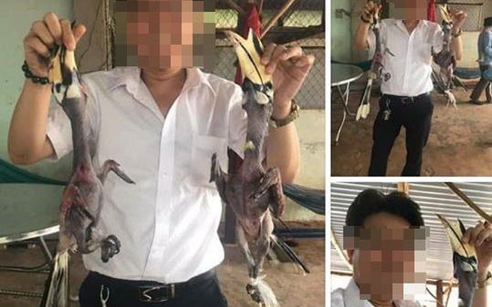 Con tỷ lệ cá cược kèo nhà cái bị vặt trụi lông, khoe trên mạng có phải là Hồng Hoàng?
