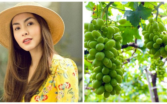 kèo nhà cái tỷ lệ cá cược khoe khu vườn bình yên trĩu quả