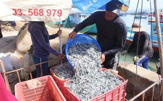 Rối rắm tiêu chuẩn về bóng đá tỷ lệ kèo nhà cái