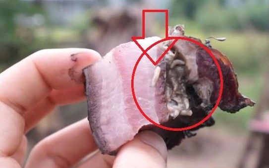 Thịt có giòi - đặc sản hút tỷ lệ kèo nhà cái 88 của Philippines