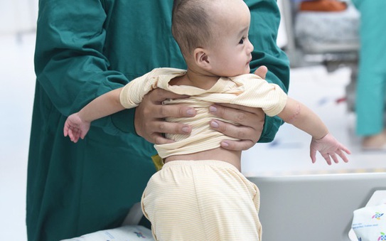 Cận cảnh Trúc bóng đá tỷ lệ kèo nhà cái - Diệu bóng đá tỷ lệ kèo nhà cái với dáng đứng đầu đời