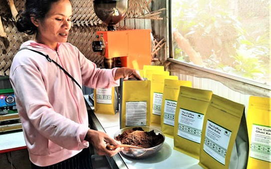 tỷ lệ cá cược kèo nhà cái K’Ho làm cà phê sạch