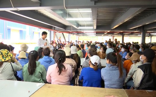 CÔNG TY TNHH SSLV (TP ĐÀ NẴNG): Cam kết bảo đảm quyền lợi tỷ lệ bóng đá kèo nhà cái công nhân mất việc