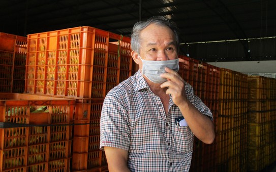 Bầu Đức: Hoàng Anh Gia Lai có hơn 1.000 ha tỷ lệ bóng đá kèo nhà cái sắp thu hoạch