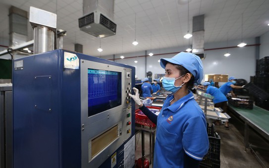 Phát huy tinh thần dấn thân của tỷ lệ cá cược kèo nhà cái nhân trẻ