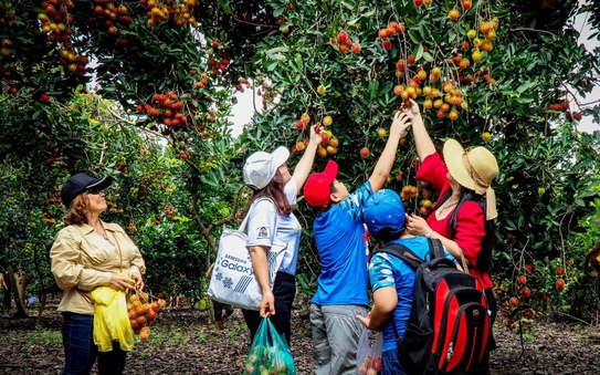 Du lịch với sản phẩm bóng đá tỷ lệ kèo nhà cái