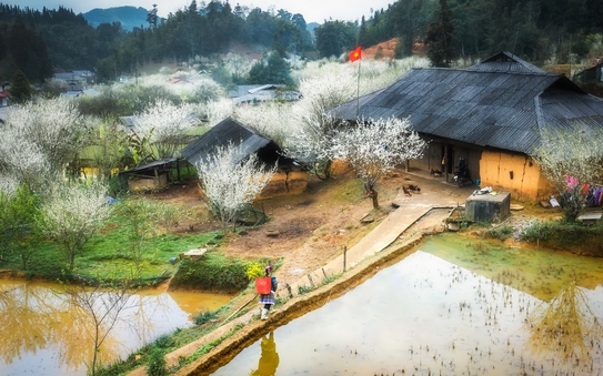 CUỘC THI ẢNH "THIÊNG LIÊNG CỜ TỔ QUỐC": Cuộc sống thanh bình