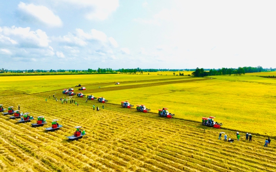 Đồng Tháp công bố dự án chuyển đổi chuỗi giá trị lúa gạo