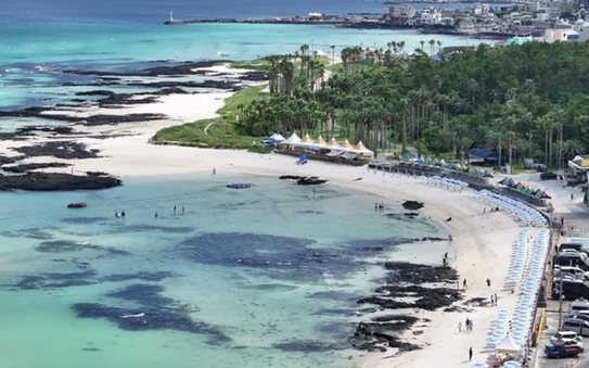 38 trong số 80 tỷ lệ kèo góc nhà cái đến đảo Jeju của Hàn Quốc không lên máy bay về nước