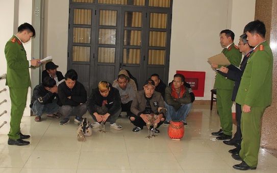 Đá gà ăn tiền những ngày cuối năm, 11 người bị tỷ lệ kèo nhà cái hôm nay