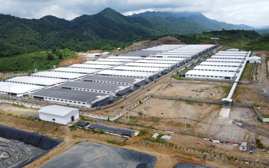 Hàng ngàn hộ dân "khốn khổ" vì mùi hôi thối từ trại kèo nhà cái tỷ lệ cá cược