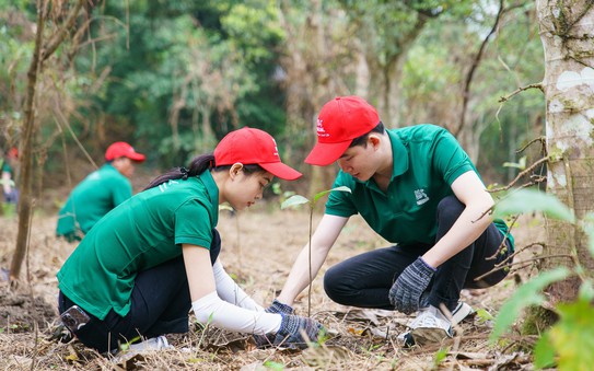 Khẩn trương đào tạo tỷ lệ kèo nhà cái malaysia cho thị trường tín chỉ carbon