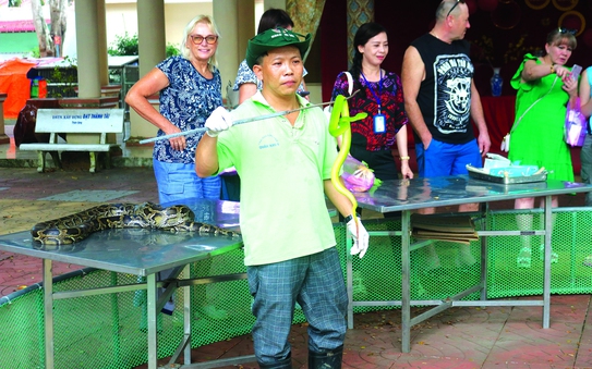 Độc đáo “vương quốc rắn”