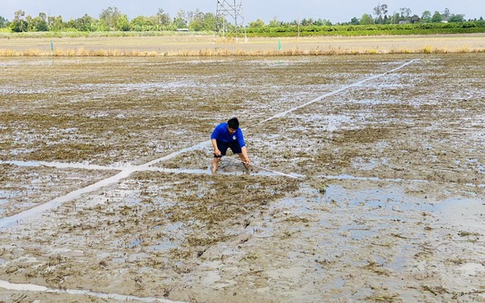 kèo nhà cái tỷ lệ cá cược gặp triều cường, Tây Nam bộ bị xâm nhập mặn trong những ngày Tết