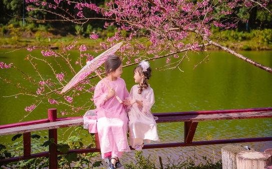 kèo nhà cái tỷ lệ cá cược rực rỡ sắc hoa anh đào, người người mê đắm