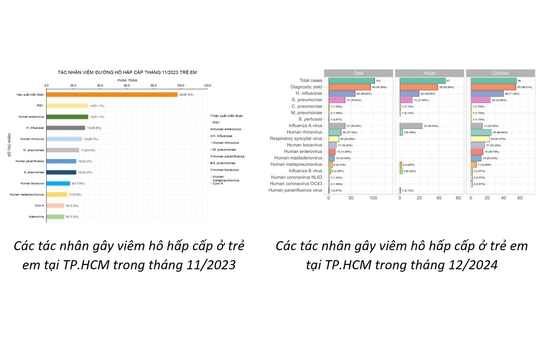 Virus gây bệnh hô hấp ở Trung Quốc từng được ghi nhận tại TP HCM