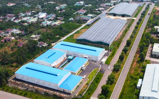 tỷ lệ kèo nhà cái malaysia: Phạt Công ty Vinasolar Bảo Lộc 370 triệu đồng