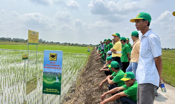 Chương trình Canh tác lúa thông minh được đưa vào đề án gắn với tăng trưởng xanh tại ĐBSCL