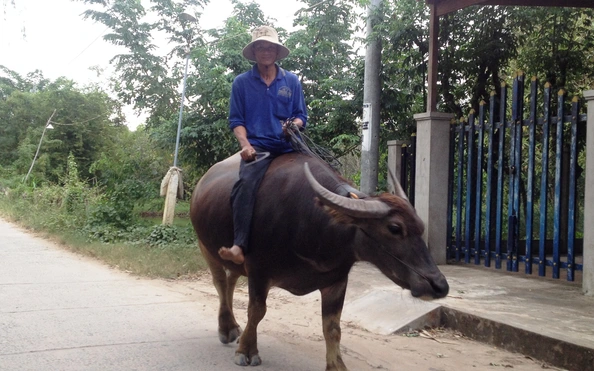 bóng đá tỷ lệ kèo nhà cái đồn “nhảm” khiến cả cù lao sợ trâu