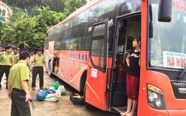 Được "mật tỷ lệ kèo nhà cái hôm nay", kiểm tra 2 giờ mới thấy tê tê, rùa giấu trên xe giường nằm