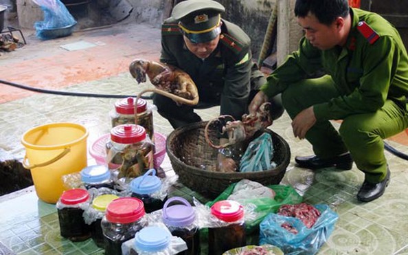 Táo tợn giả danh kiểm lâm cướp số động vật tỷ lệ kèo nhà cái hôm nay dã giá 500 triệu