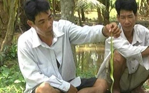 tỷ lệ kèo nhà cái lục tràn vào khu dân cư
