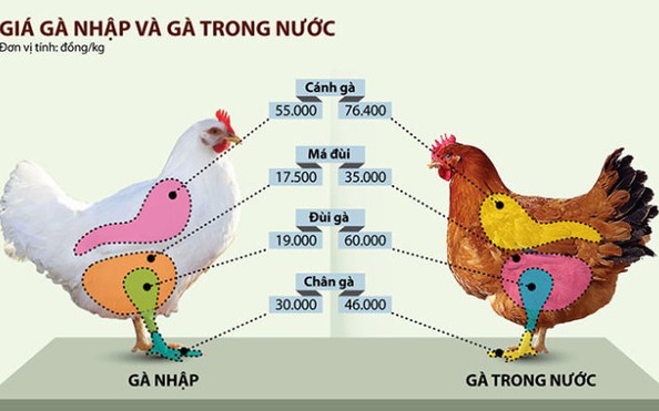 Gà tỷ lệ kèo nhà cái hôm nay khủng hoảng với đùi gà Mỹ rẻ như rau