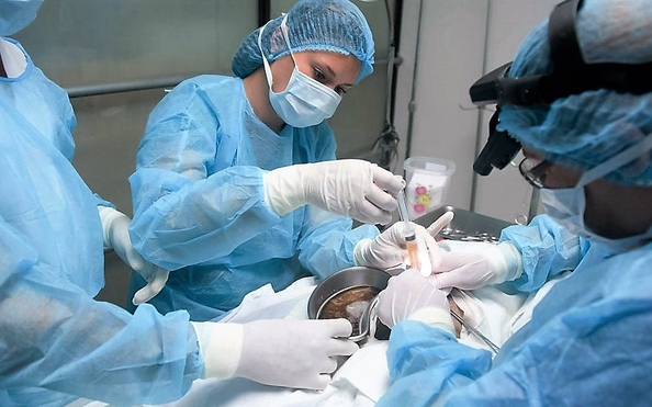 Trẻ tỷ lệ bóng đá kèo nhà cái mổ dễ béo phì