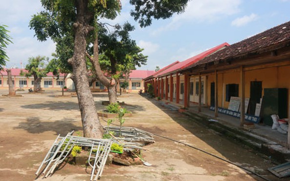 Buộc tỷ lệ cá cược kèo nhà cái sinh đóng tiền xây dựng nông thôn mới!