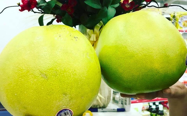 Ham tỷ lệ kèo góc nhà cái lạ, dân Việt ăn bưởi Mỹ giá nửa triệu đồng/quả
