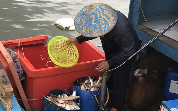 Dợn lòng nước mắt phu biển