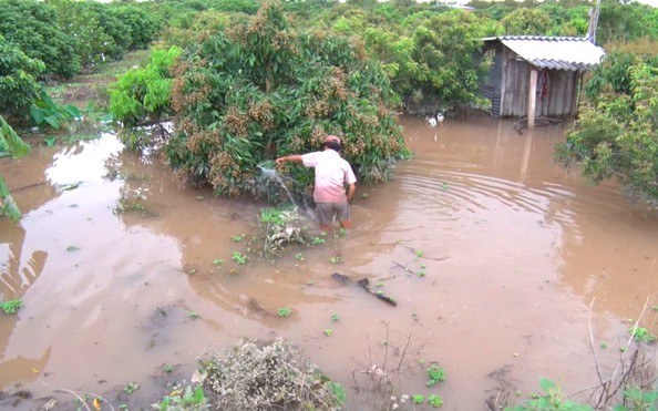 Vỡ đê vì đặt cống ẩu, cuộc sống kèo nhà cái tỷ lệ cá cược dân cù lao bị đảo lộn