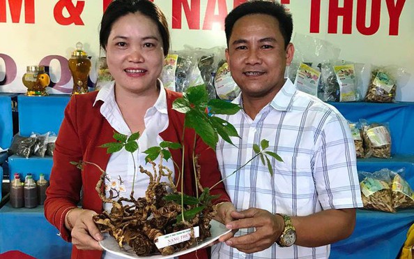 Củ sâm Ngọc tỷ lệ cá cược kèo nhà cái giá 540 triệu đồng đã có người mua