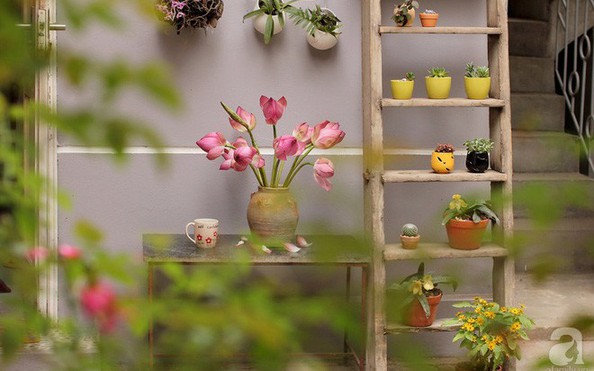 Ngôi nhà góc nào cũng xinh xắn kèo nhà cái tỷ lệ cá cược một phụ nữ Hà Thành