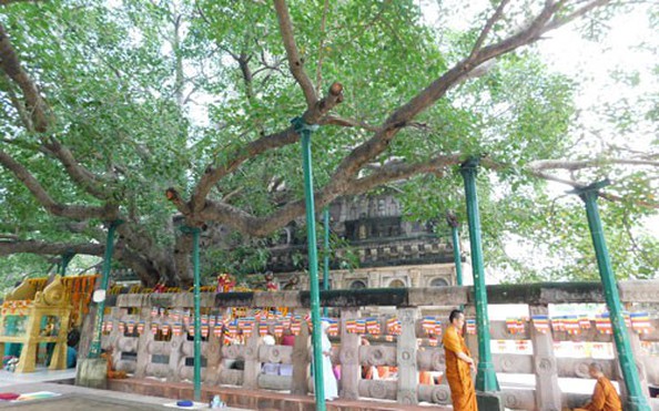 BODH GAYA, nơi muộn phiền bỏ lại