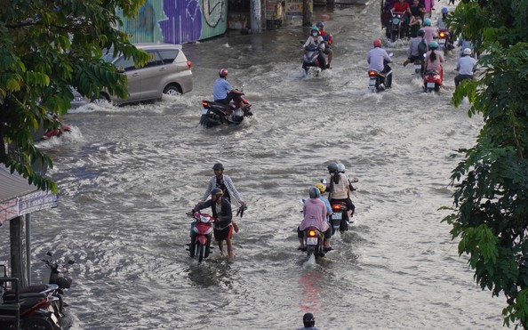 tỷ lệ kèo nhà cái malaysia: Triều cường gây ngập kinh hoàng ở quận 7