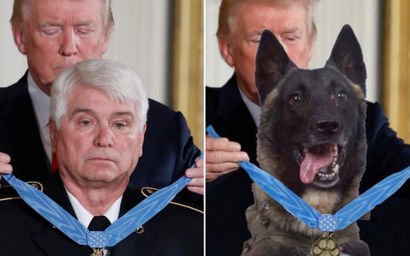 Tổng thống Trump đăng ảnh chế về chú chó dồn trùm tỷ lệ kèo nhà cái hôm nay vào đường cùng