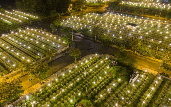 Khung cảnh rực rỡ ở làng kèo nhà cái tỷ lệ bóng đá chong đèn chuẩn bị vụ kèo nhà cái tỷ lệ bóng đá Tết