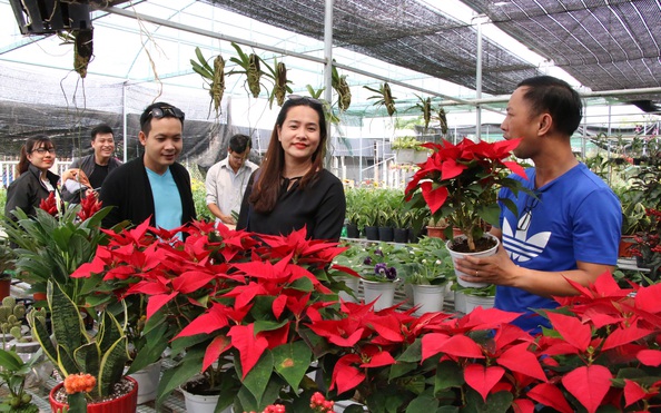 kèo nhà cái tỷ lệ bóng đá Tết, nơi mừng, nơi lo!