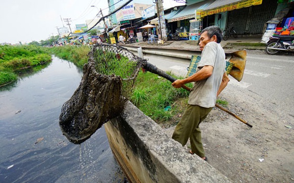 Mối nguy từ ô nhiễm hạt vi nhựa