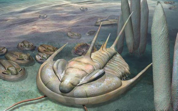 SINH VẬT KỲ LẠ | Tin tuc CẬP NHẬT , sinh vat ky la | Báo Người lao động